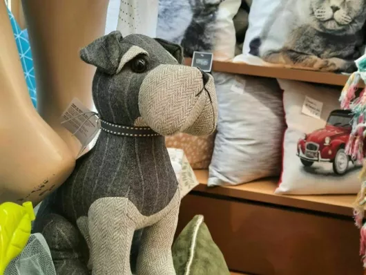 câle porte chien
