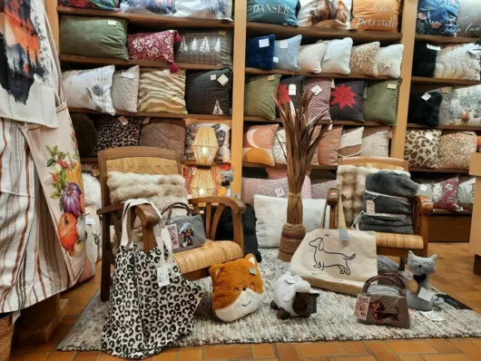 Entrée du magasin avec ses coussins, sacs et cale porte.