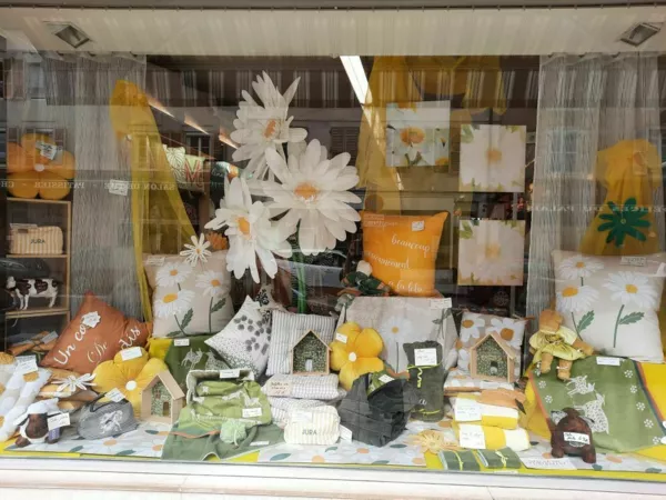 Vitrine marguerites août 2026