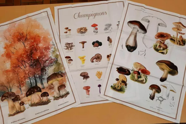 linges vaisselle coton (champignons).