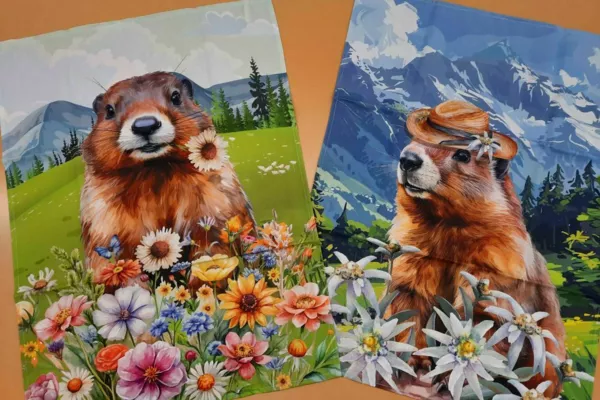 linges vaisselle coton (les marmottes).