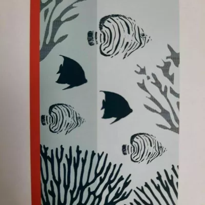 drap de plage -océan